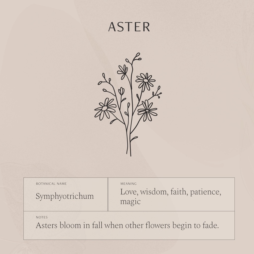 Aster September Birth Flower Charm Gift Necklace - Picture 5 of 16